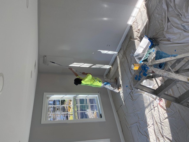 interior wall painters